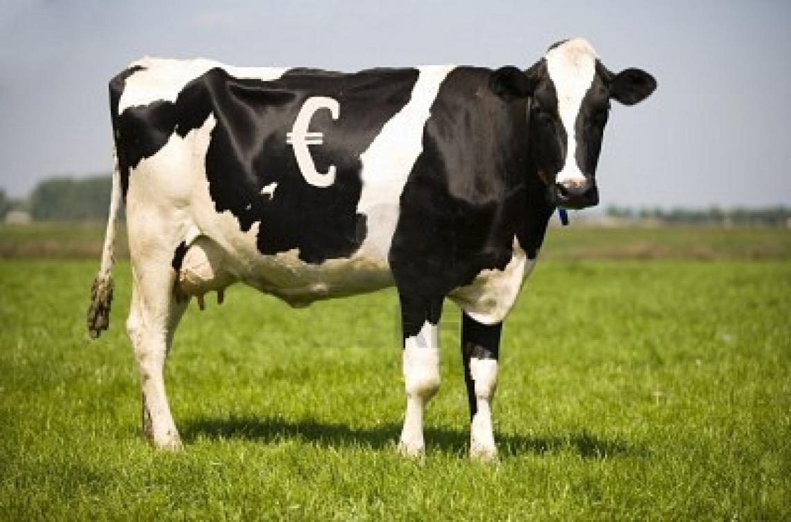 Investir en Espagne, un produit vache à lait !